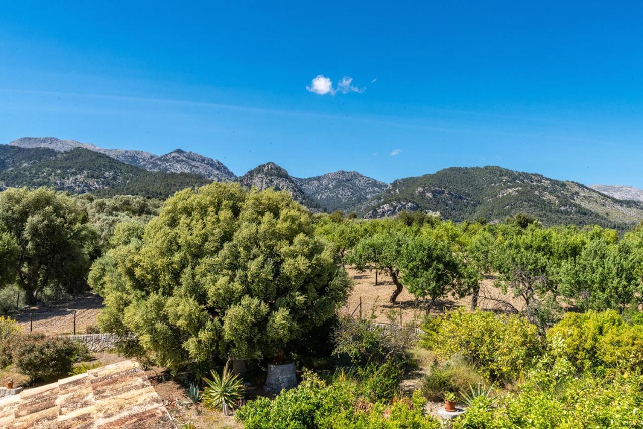 Finca Son Arnau El Port de la Selva Luaran gambar